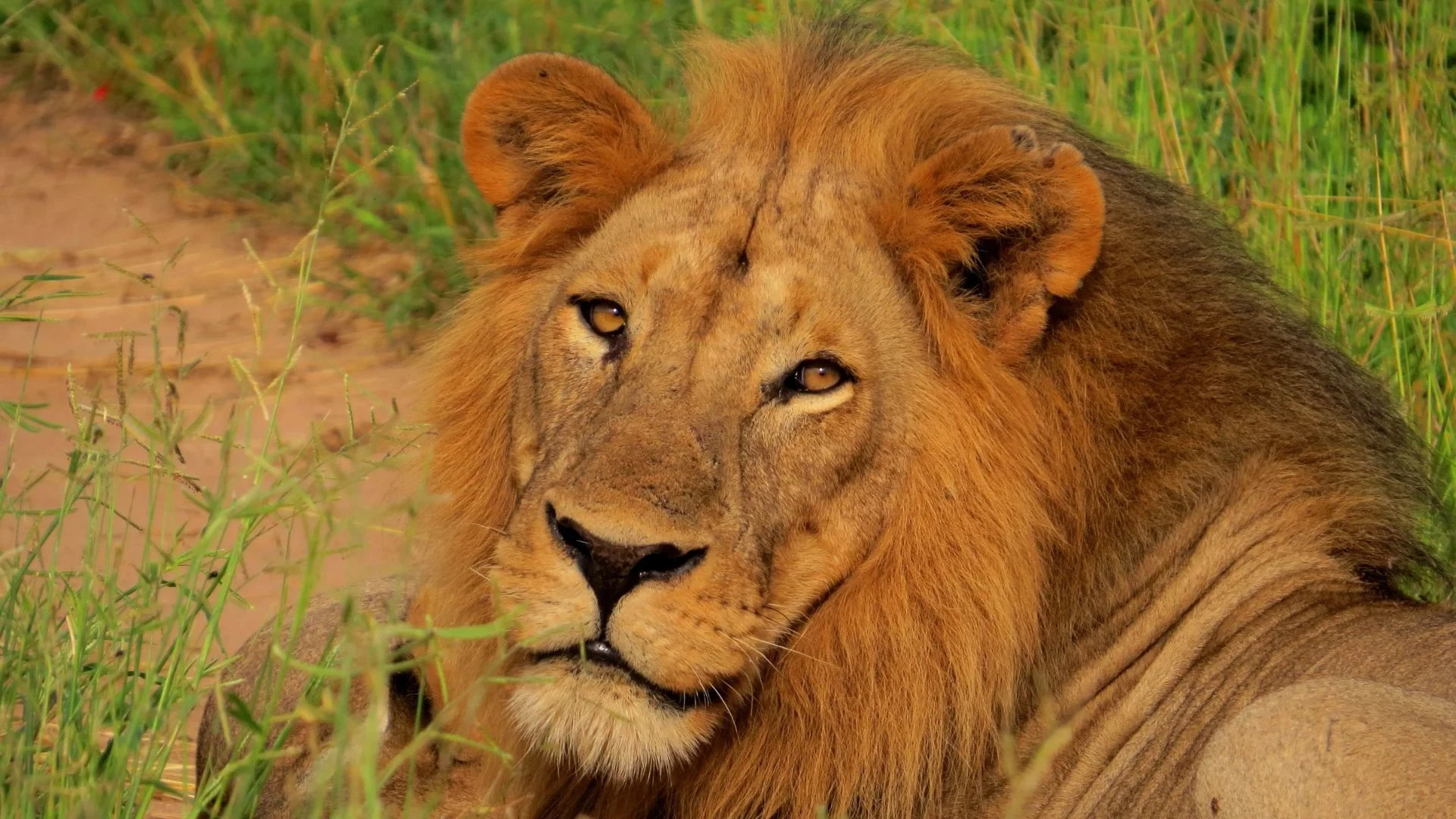 Tanzanie + Zanzibar | Na vlastní kůži